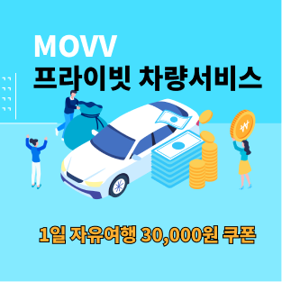 movv 차량이동서비스